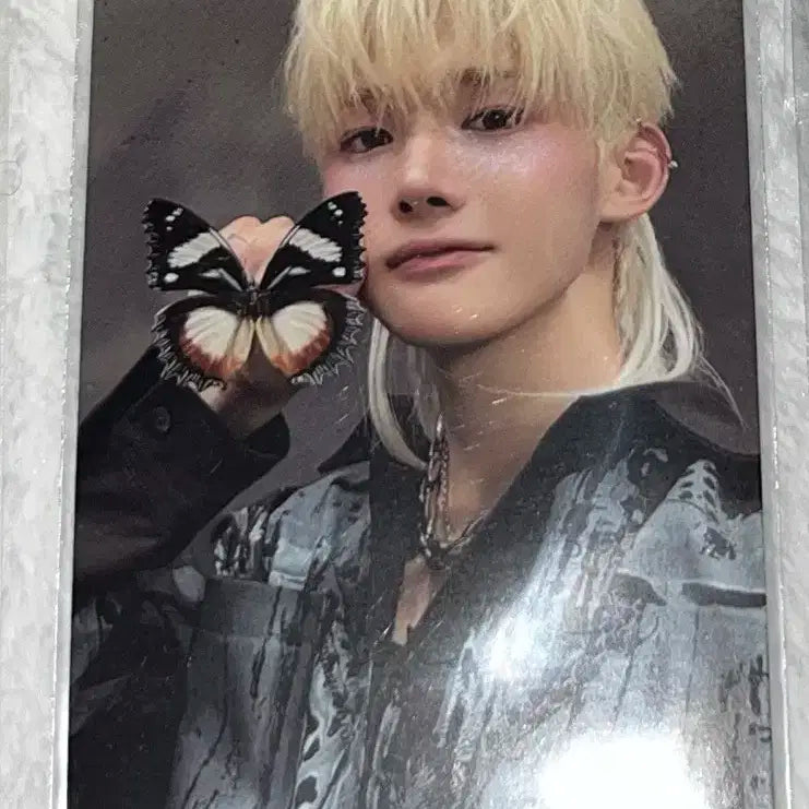 고인블 고인블라인드 앤팀 죠 포카