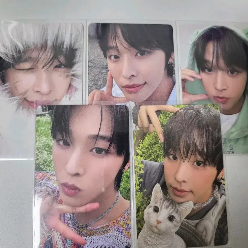 (일괄)엔위시 리쿠 포카 판매