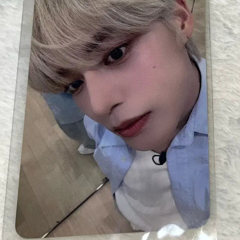 Cinema paradise  럭드 제베원 김지웅 제로베이스원 포카