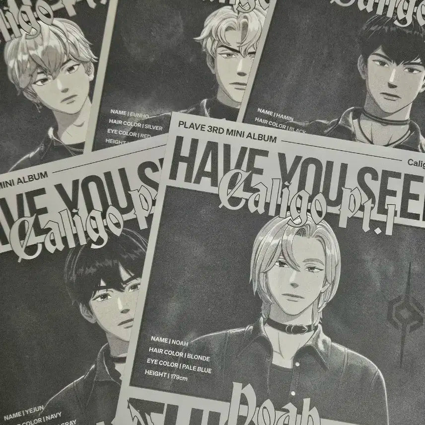 플레이브 대쉬 수배지 가사지 케타포 럭드 입장 티켓 일괄