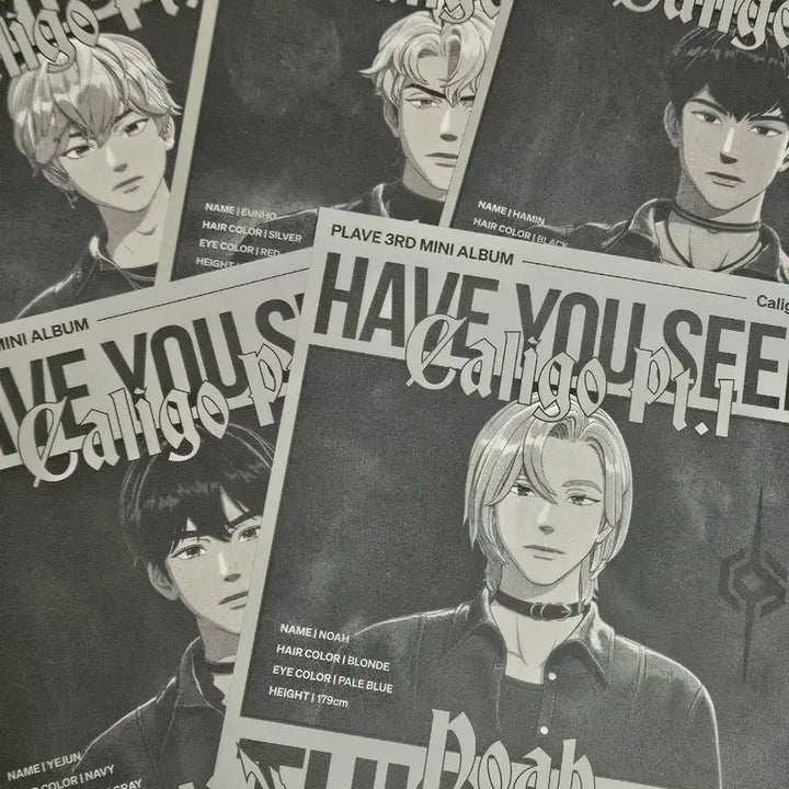 플레이브 대쉬 수배지 가사지 케타포 럭드 입장 티켓 일괄