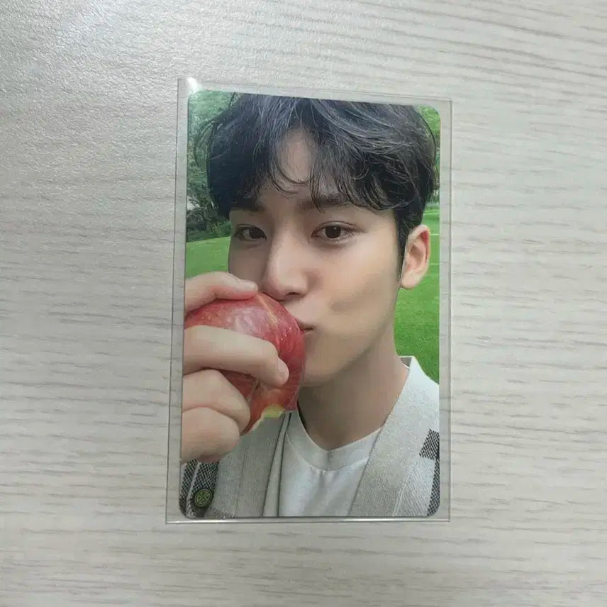 세븐틴 민규 소셜클럽 다카포 사과민규 양도