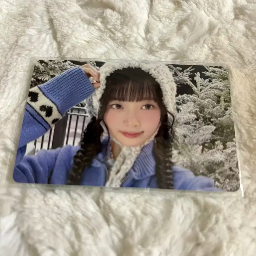 아이브 레이 엠파시 md ver 포카 판매