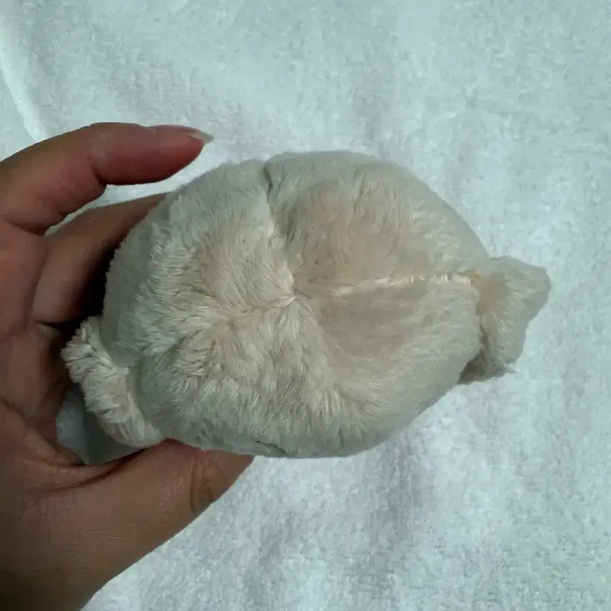 철뭉이 세븐틴 디노인형