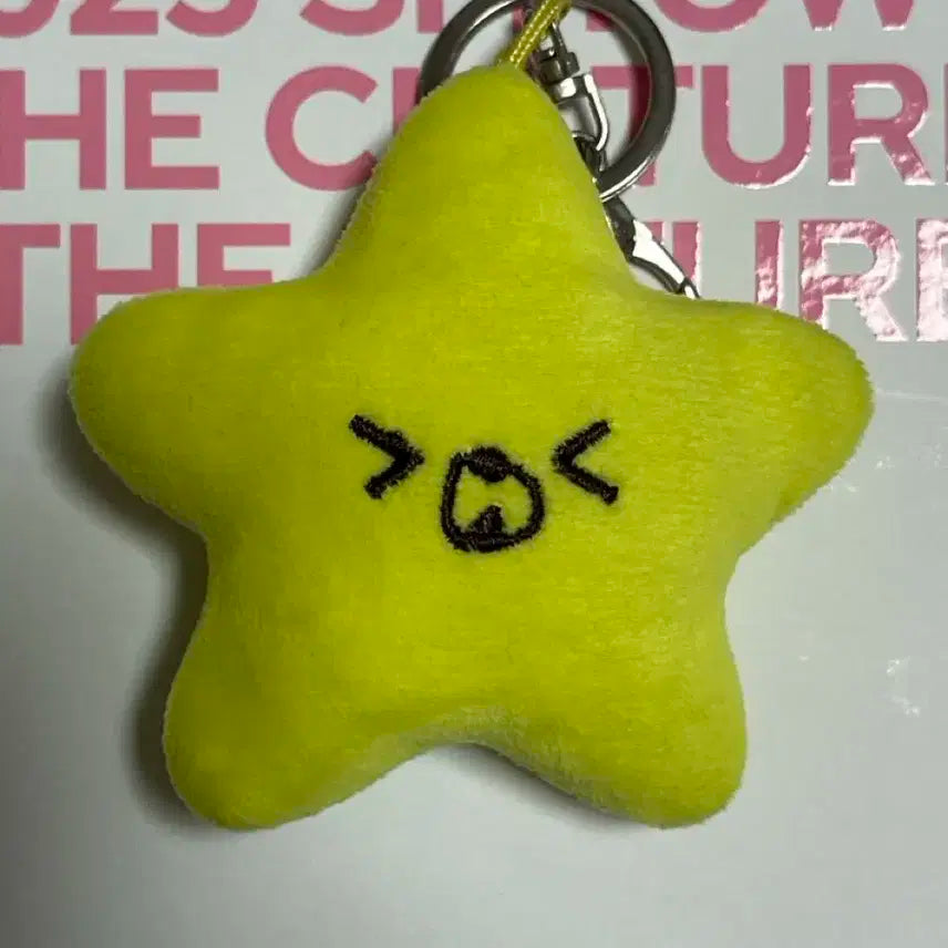 해찬 불가사리 햇가사리 양도