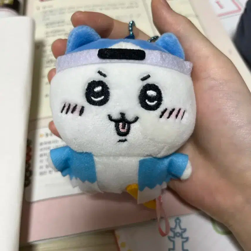 신선조 하치와레