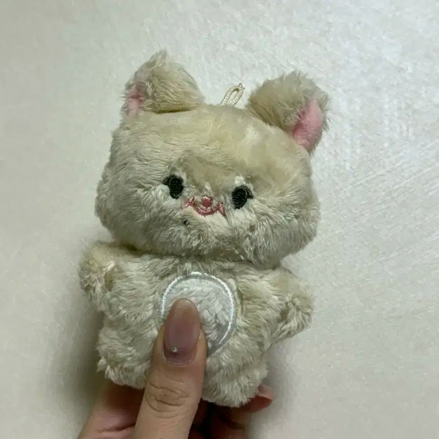 엔시티드림 지성 인형 판매