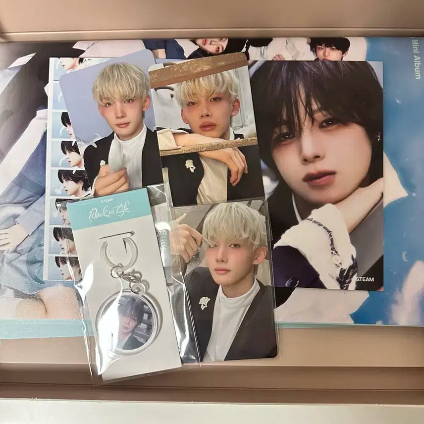 앤팀 백투라이프 앨범 죠 포카 풀세트 + 앨범