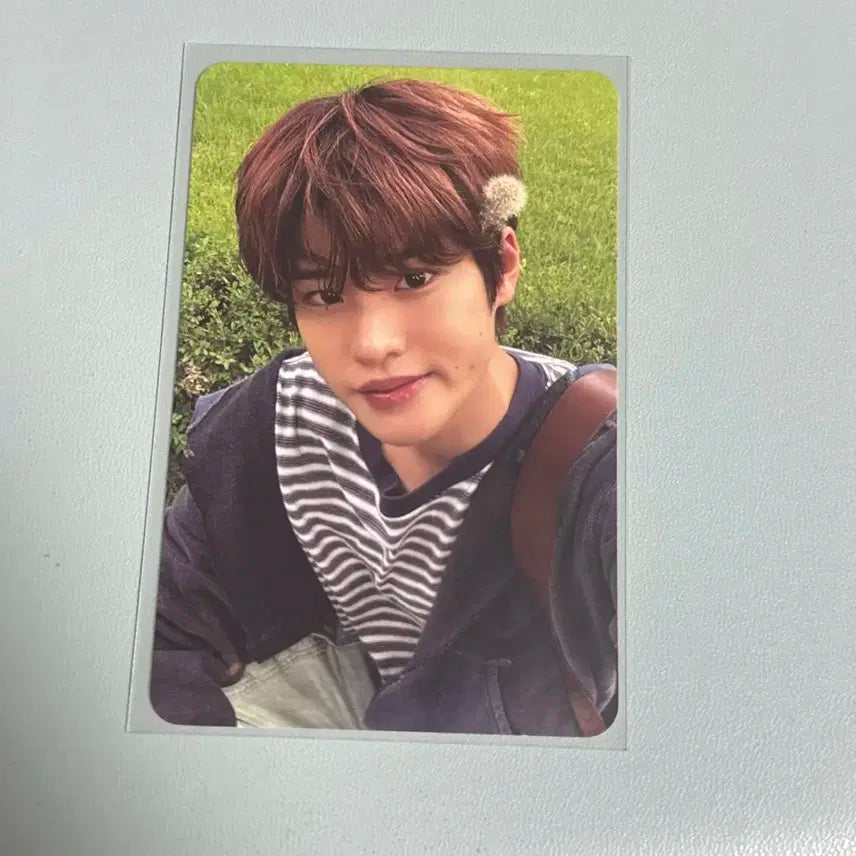 라이즈 소희 에필로그 포카 양도 소희 민들레 포카 양도