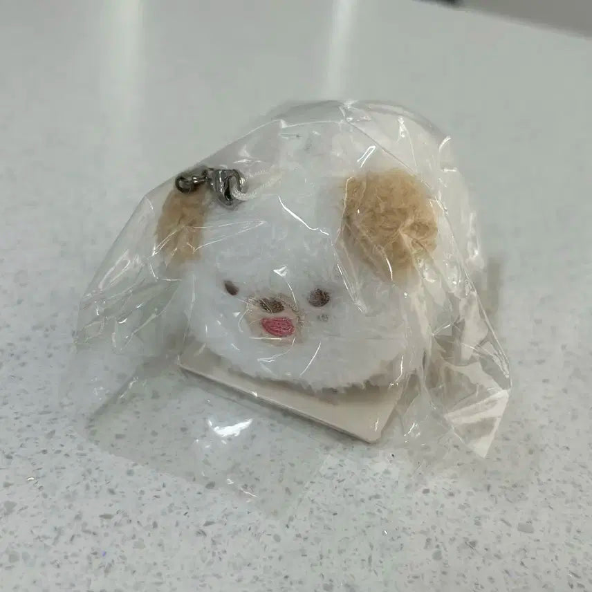 [미개봉] 데이식스 사족보행 돈