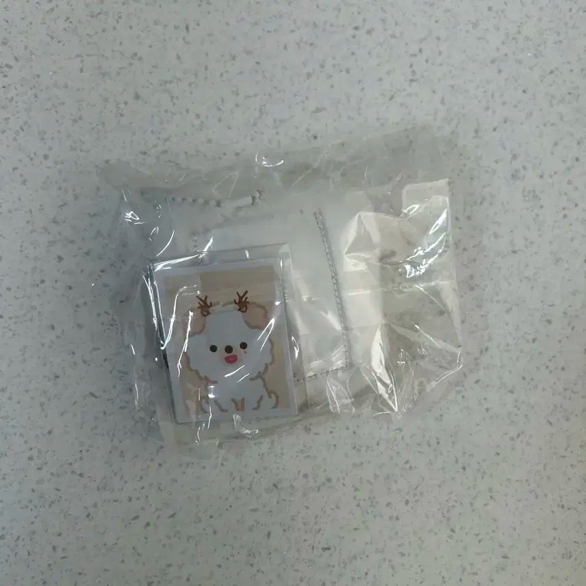 [미개봉] 데이식스 쁘띠멀즈 포토홀더 돈