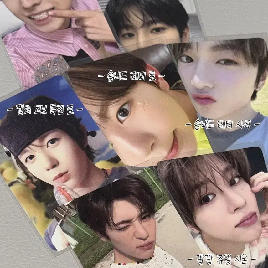 엔시티위시 엔위시 NCTWISH 포토카드 포카 일괄 양도 판매