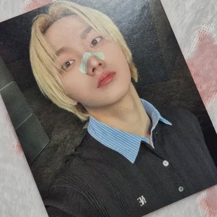 배포 ) 보넥도 보이넥스트도어 디액션 뮤앤드 성호 박성호 대왕 포카 판매