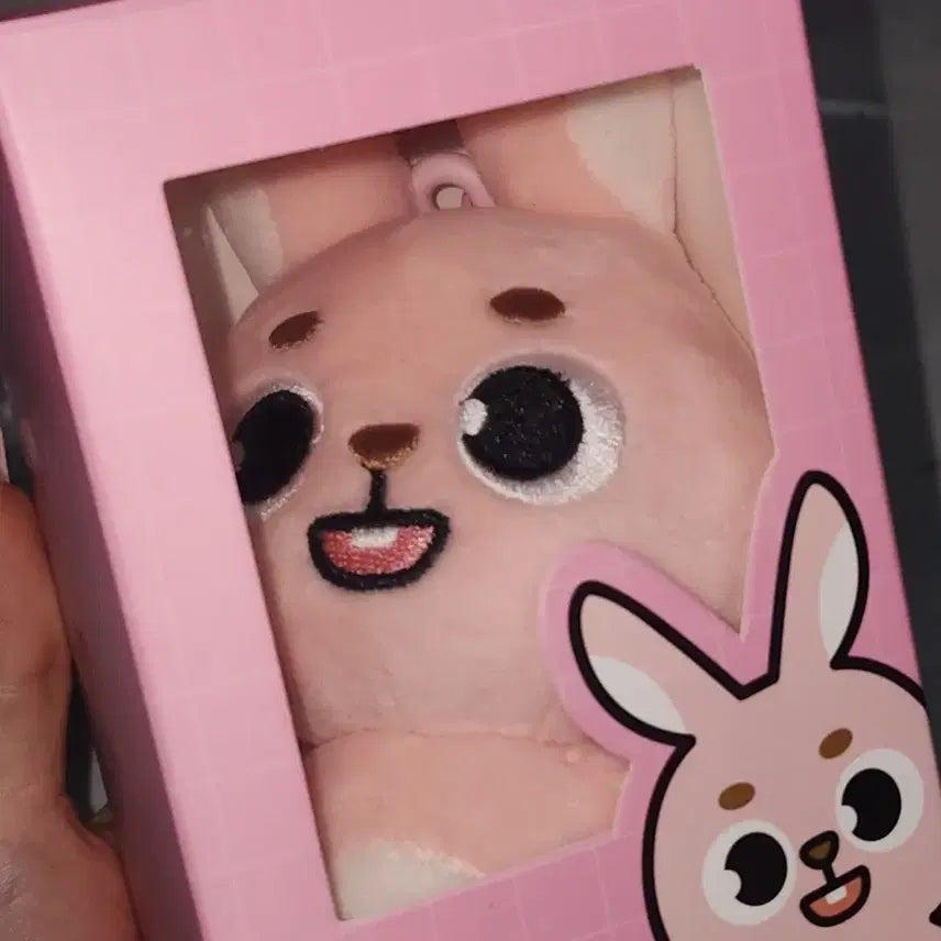 24필끼 데이식스 데니멀즈 데식 인형 원필