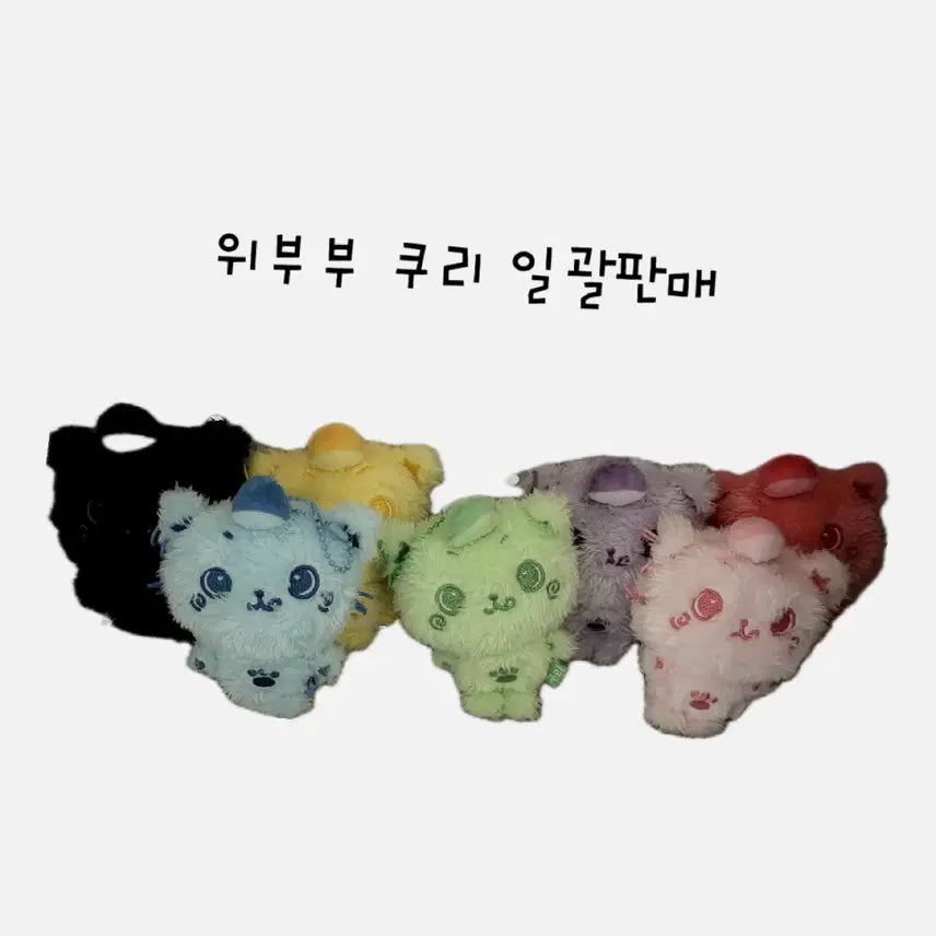 엔시티위시 위부부 쿠리 일괄판매