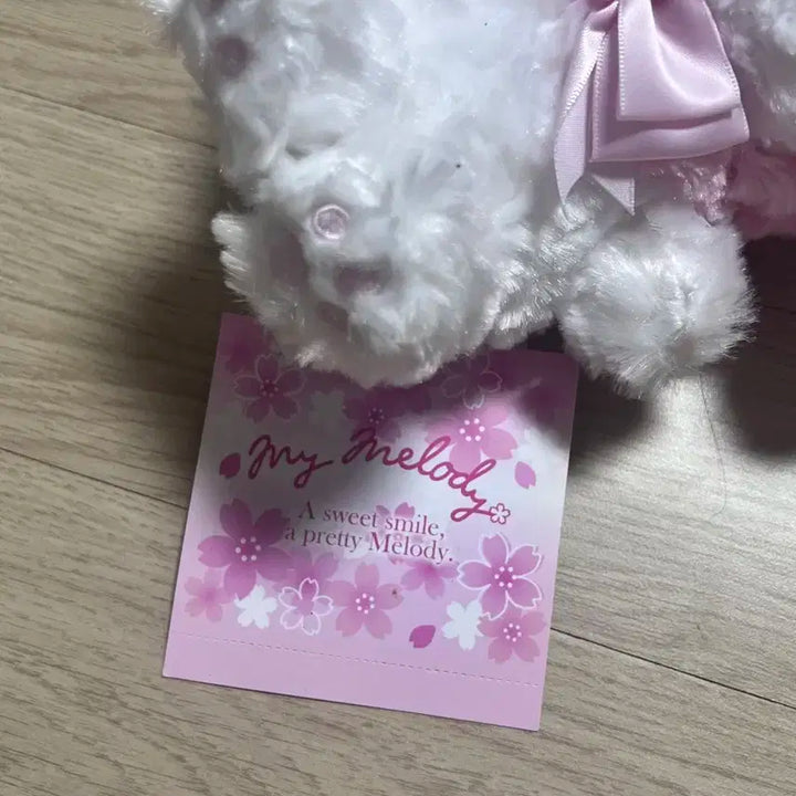 사쿠라 마이멜로디