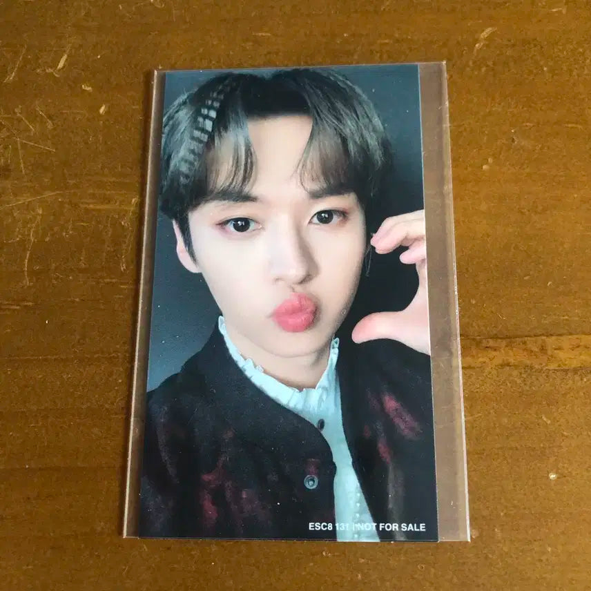 스키즈 스트레이키즈 리노 일본 더사운드 앨범 포카 럭드 양도 판매 처분