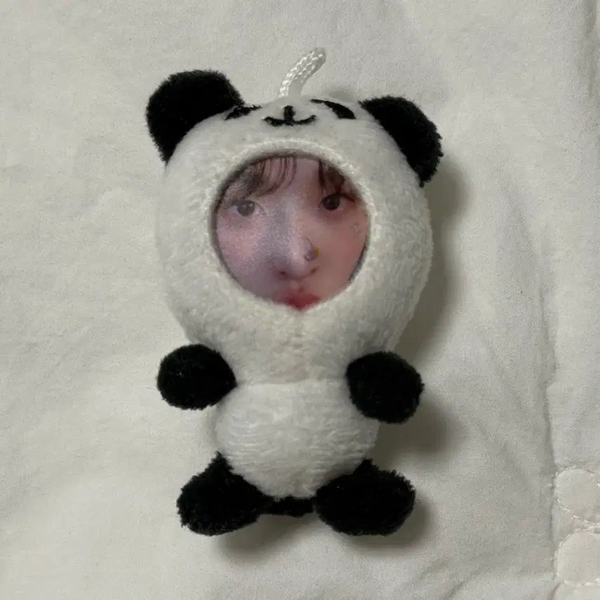 엔시티위시 리쿠 판다 팬더 포토톡 nct wish