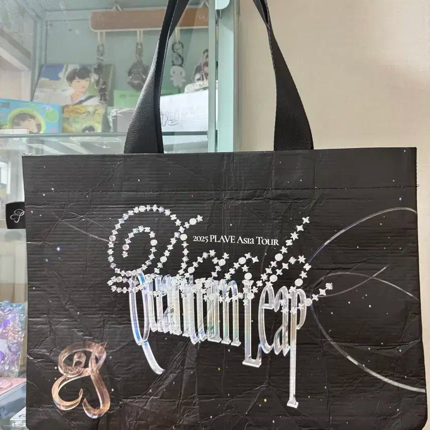 플레이브 아시아 투어 퀸텀 리유저블백