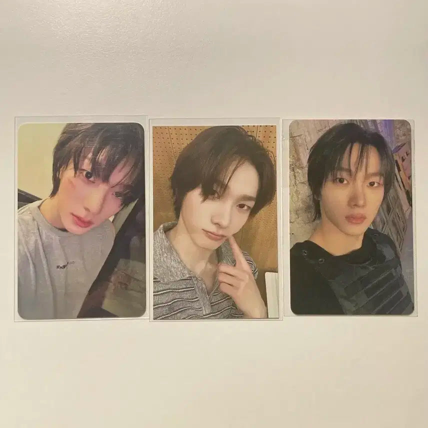 보이넥스트도어 성호 포카 일괄