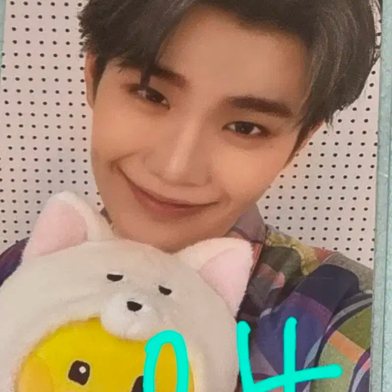 제베원 김태래포카 제로니 팝업 포카