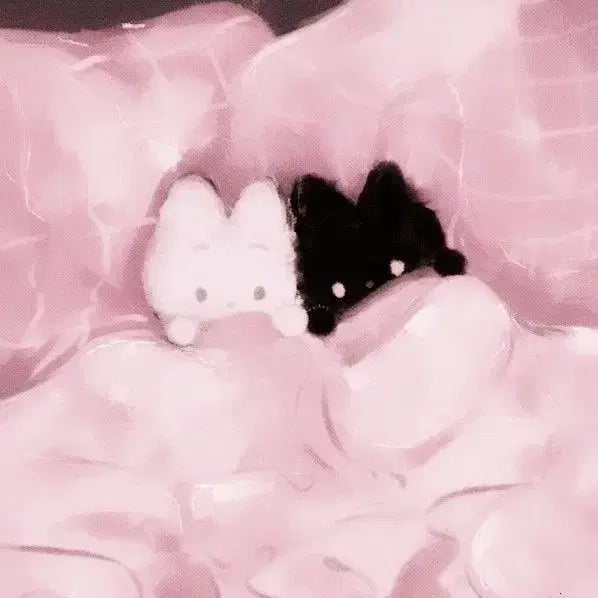 보넥도 비공굿 포카 50장 일괄 판매