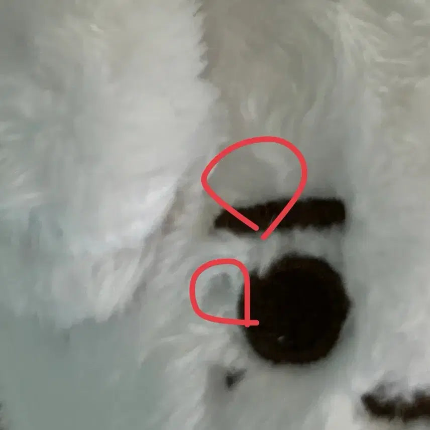 제베원 인형 뭉래