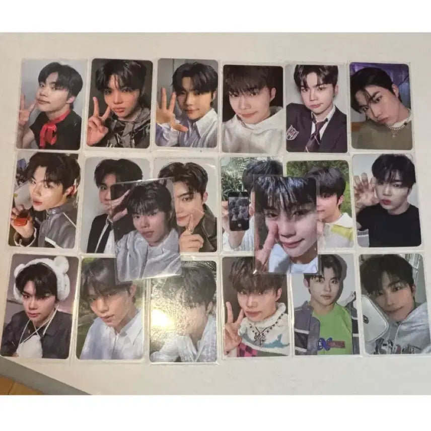 제로베이스원 박건욱 포카 일괄