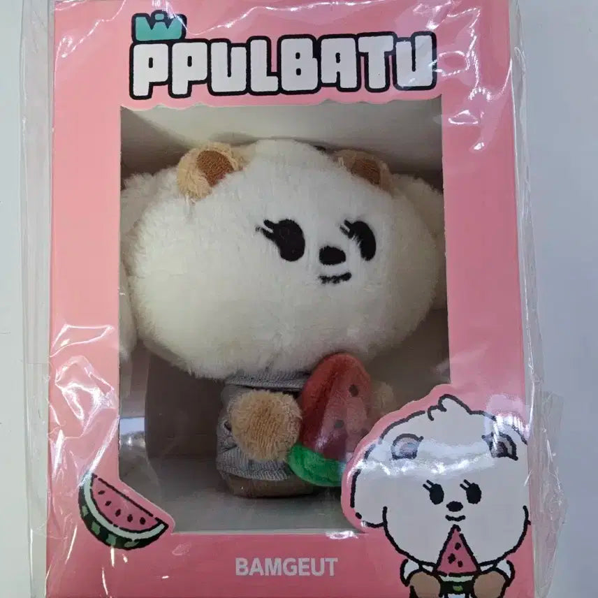 현물미개봉)밤긋이수박뿔바투 범규 투바투 위버스재팬