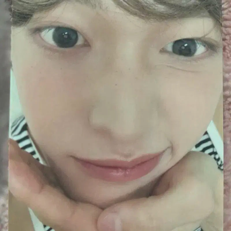 라이즈 원빈 일콘 투어 한정포카(쇼타로,은석,성찬,앤톤,소희)