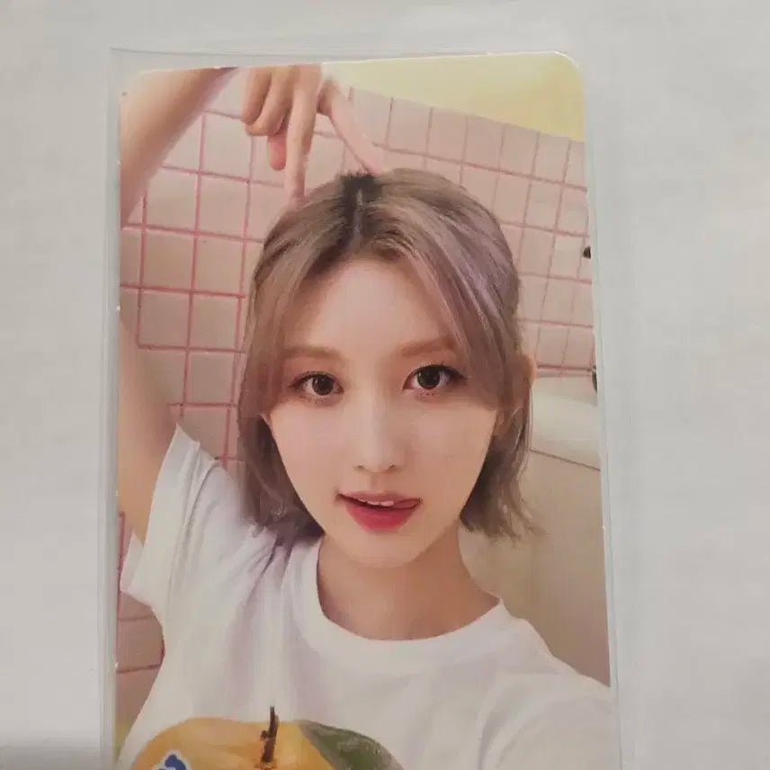 2023 시즌그리팅 아이브 가을