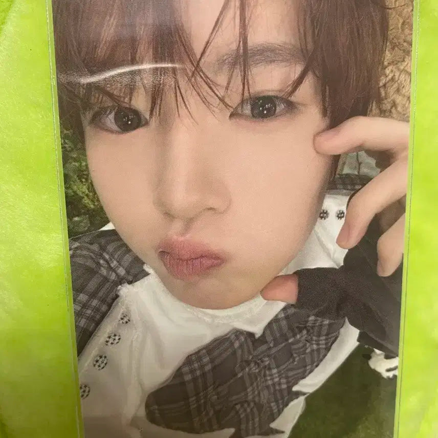 엔시티 위시 사쿠야 컬러 포카