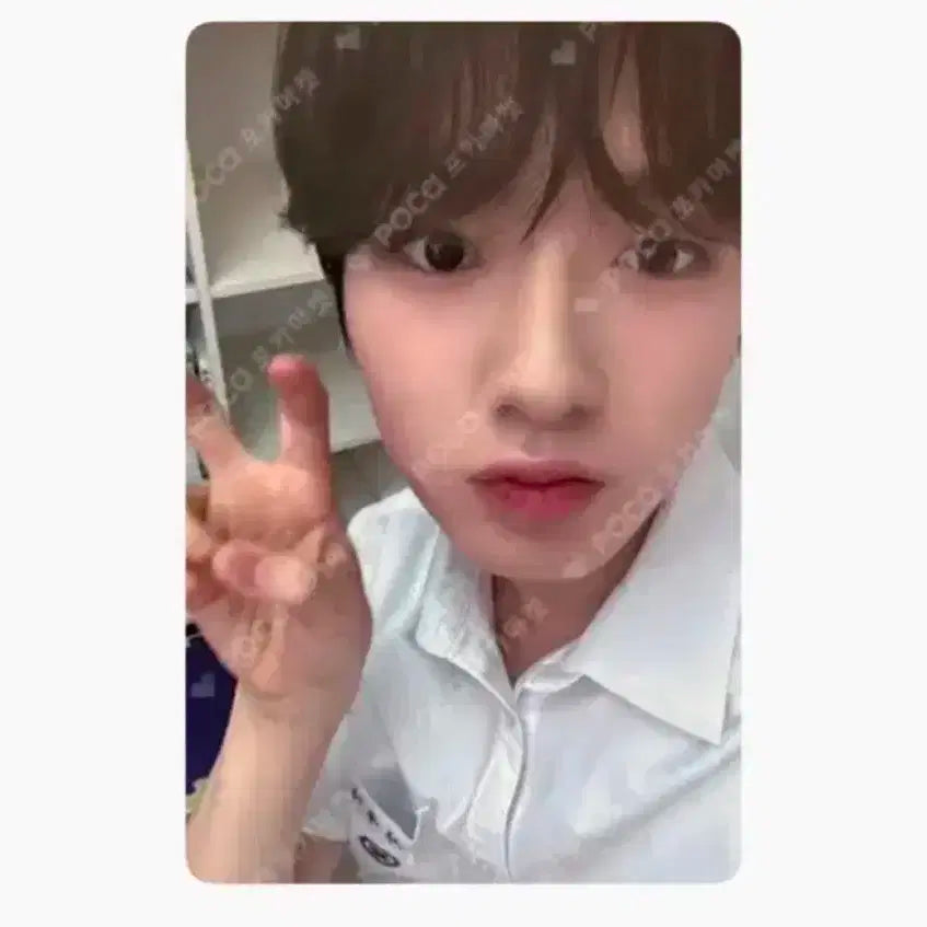 엔시티위시 1주년 럭키카드 사쿠야 nctwish