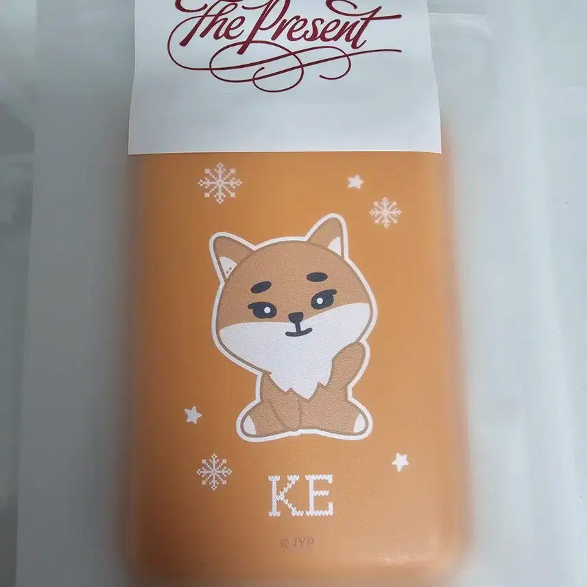 데이식스 데니멀즈 마그넷 맥세이프 카드지갑 케 (미개봉, 포카포함)