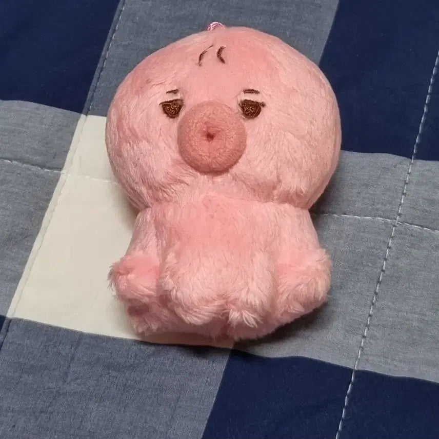 더보이즈 선우 떤코 인형 양도합니다