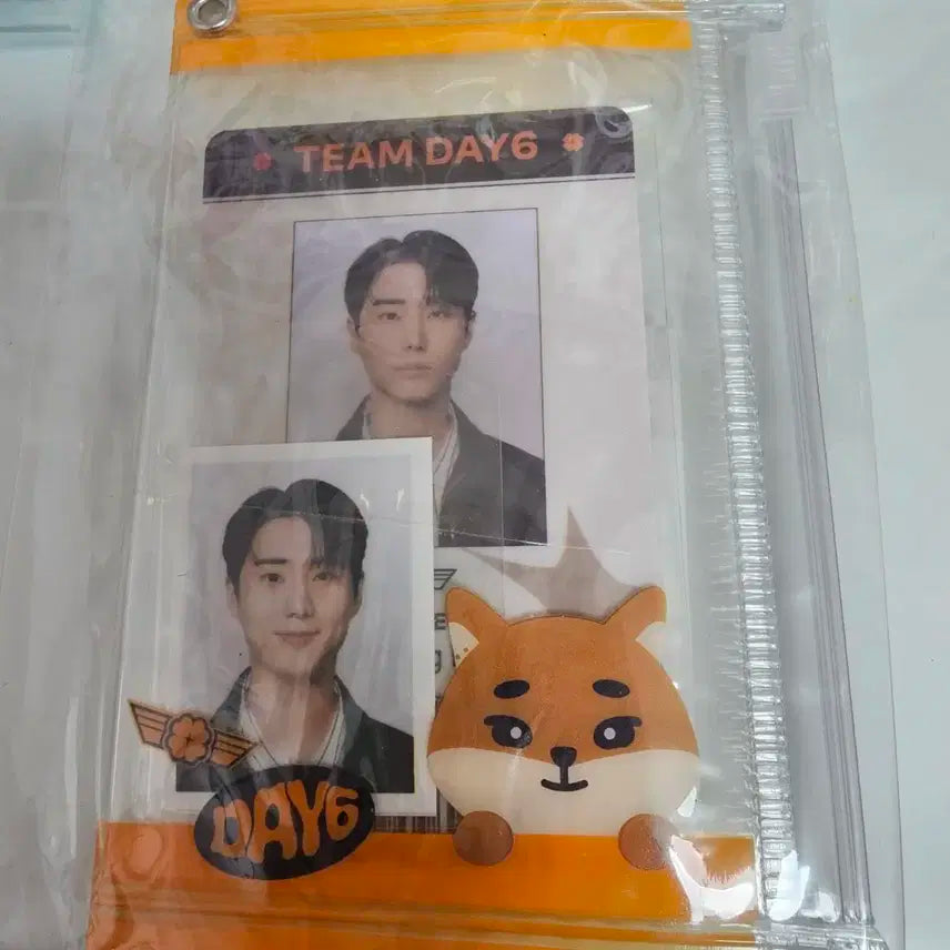 데이식스 데니멀즈 라이선스 ID 포토세트 영케이 (미개봉)