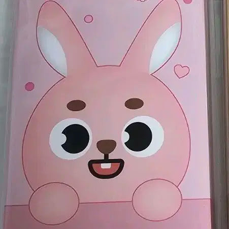 데이식스 데니멀즈 비즈키트 필 미개봉