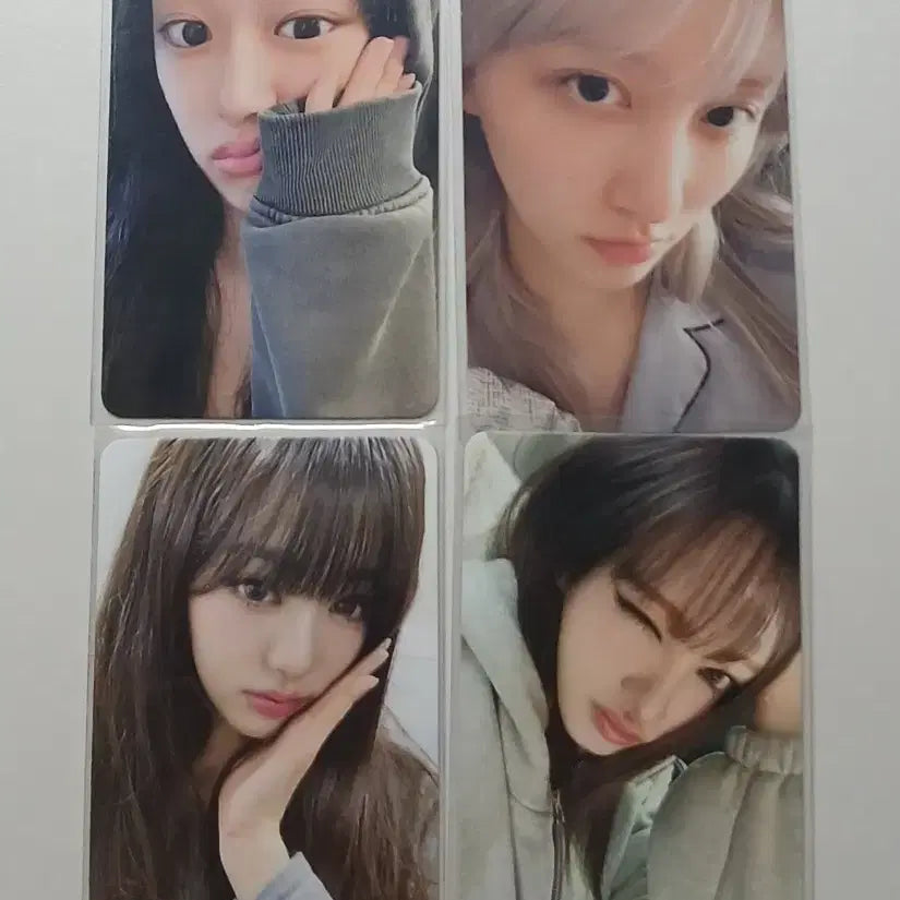 아이브 콘서트 다이브존 중콘포카