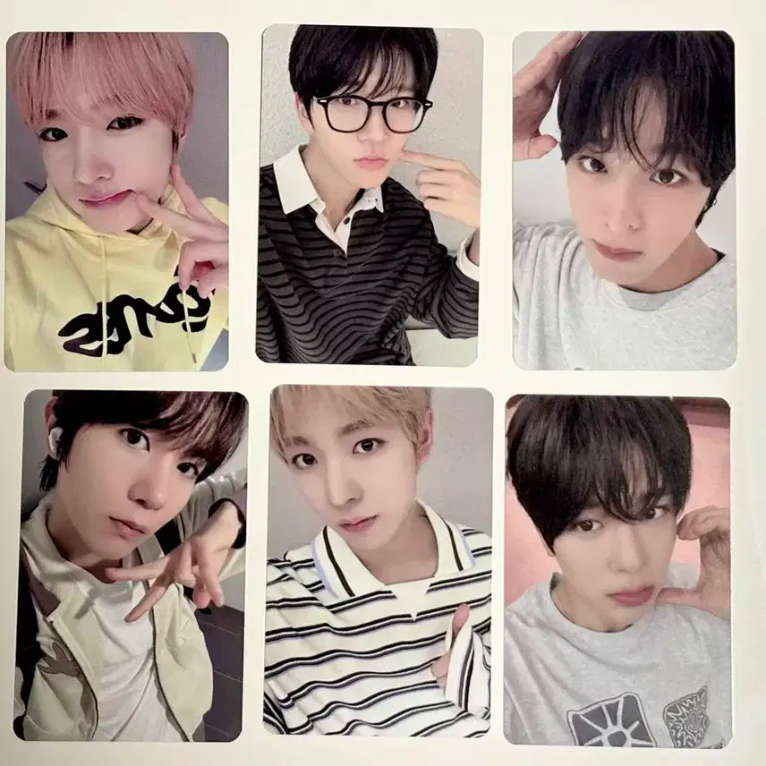 엔시티 위시 컬러 251001 디어마이뮤즈 미공포