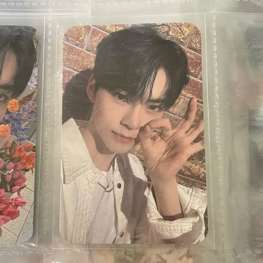 제베원 성한빈 공방포카 1주차 인블룸 양도