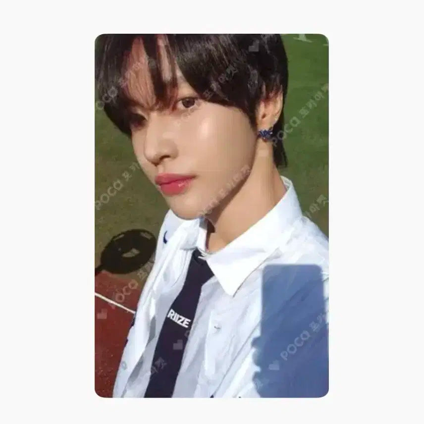 라이즈 원빈 포카 양도