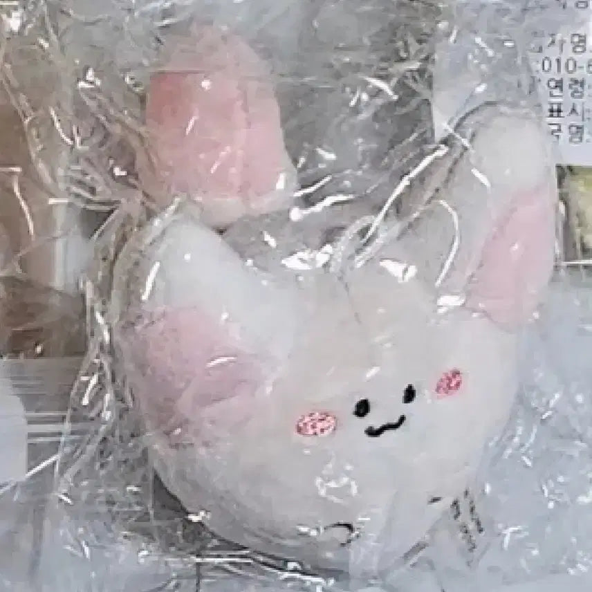 육성재 여우 인형