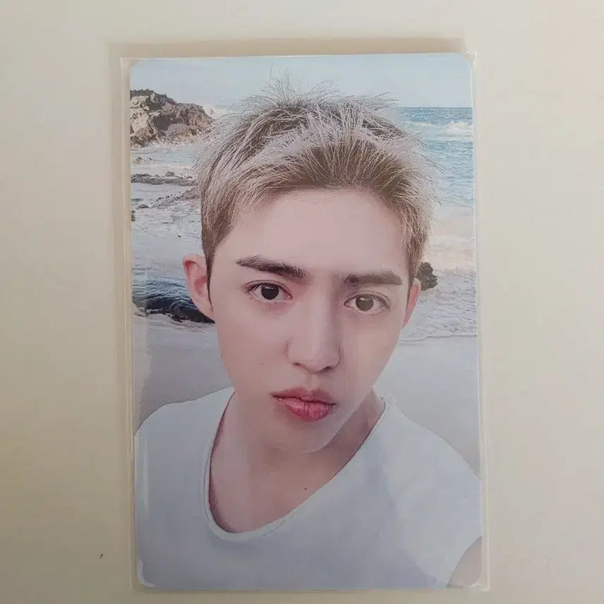 cxm hype vibes 위버스재팬 에스쿱스 특전