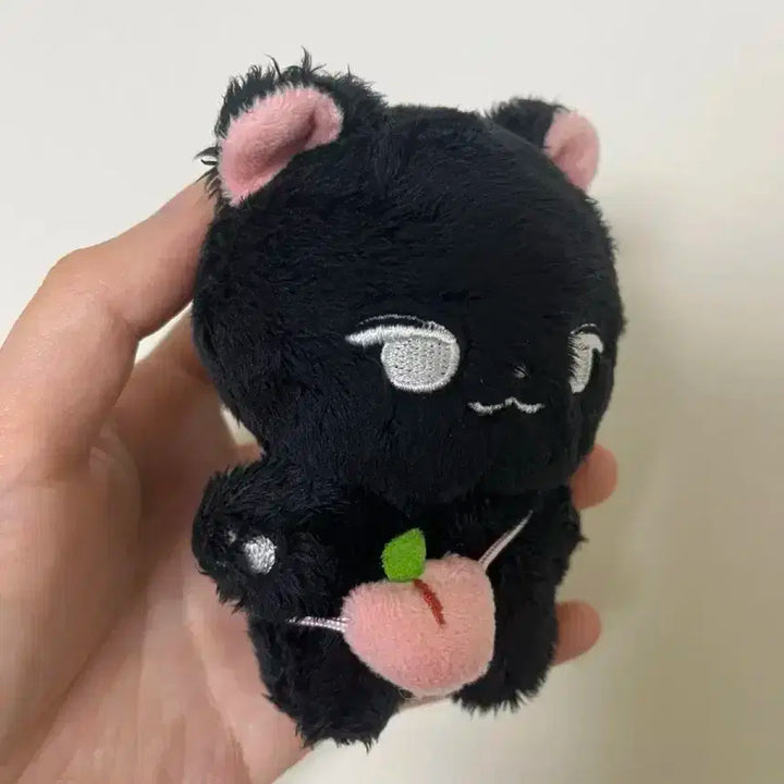 재현 인형 블랙잰