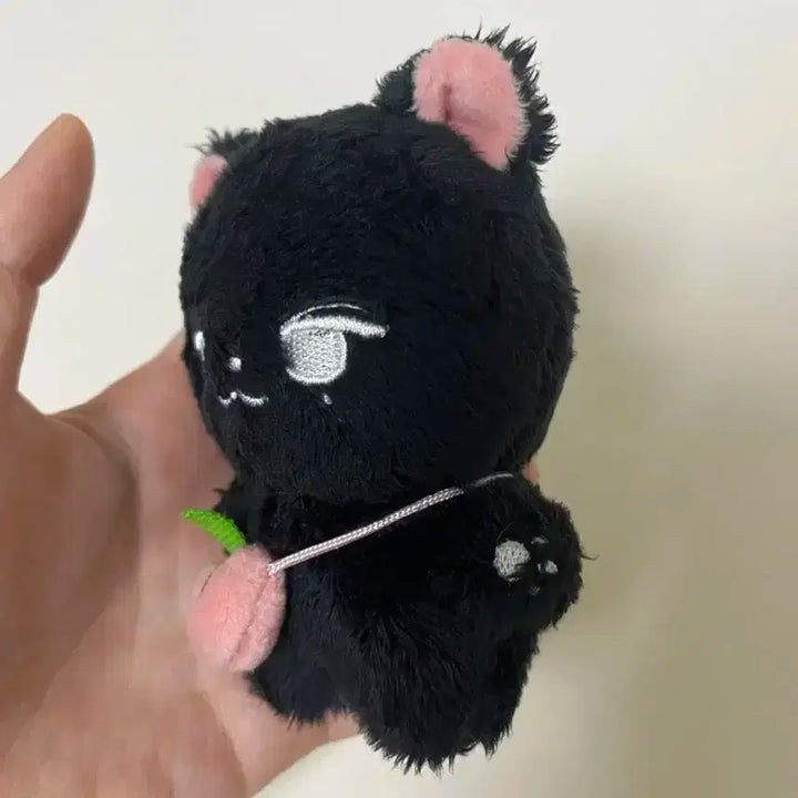 재현 인형 블랙잰