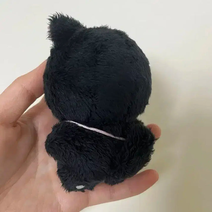 재현 인형 블랙잰