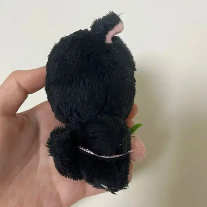 재현 인형 블랙잰