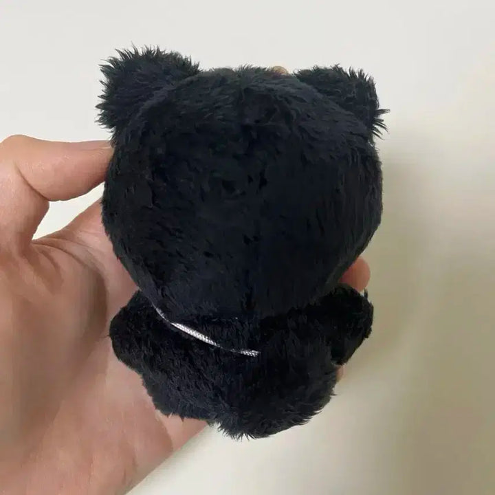 재현 인형 블랙잰