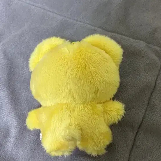 엔시티드림 지성인형 팥붕쮜 정가이하