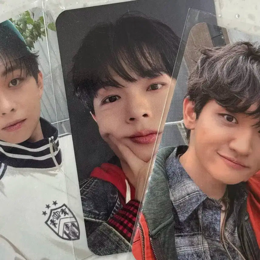 루시 조원상 음감회 포카